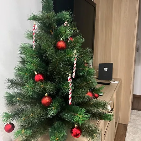 Close To Everything * بودابست