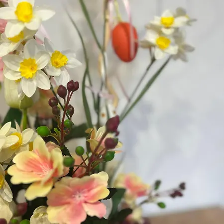 Close To Everything בודפשט